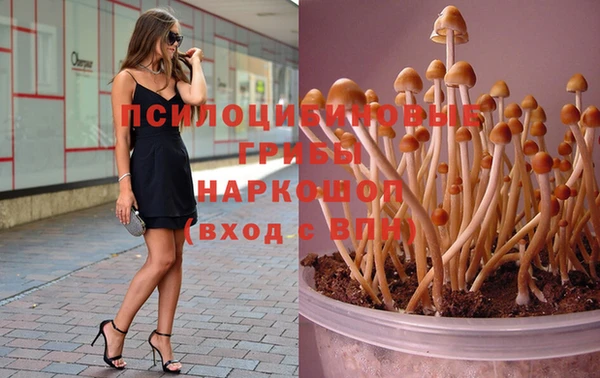 mdpv Михайловск
