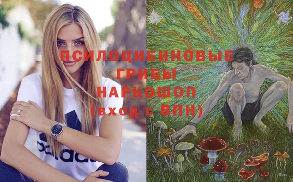 стафф Кодинск